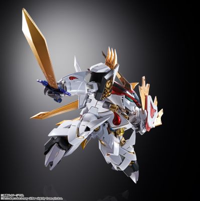 METAL BUILD DRAGON SCALE  龙王丸