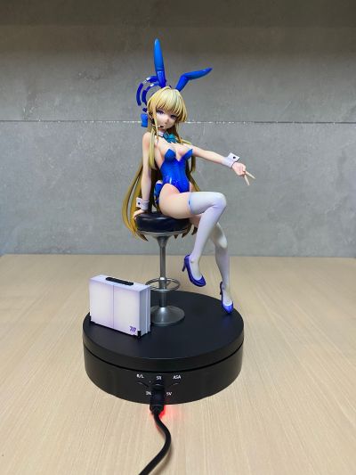 蔚蓝档案  飞鸟马时 兔女郎