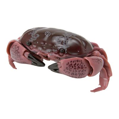 生物大图鉴 螃蟹 2