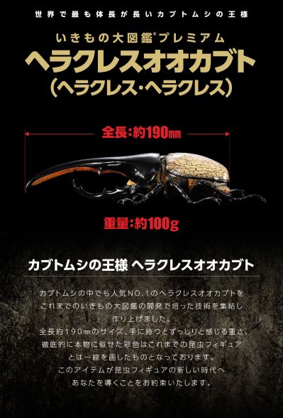 高级生物大图鉴 长戟大兜虫