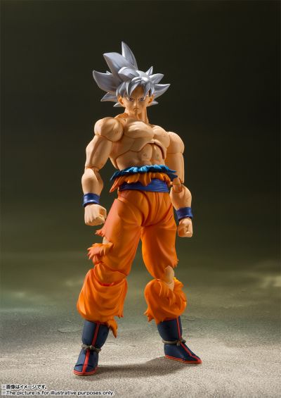 S.H.Figuarts 孙悟空 自在极意功