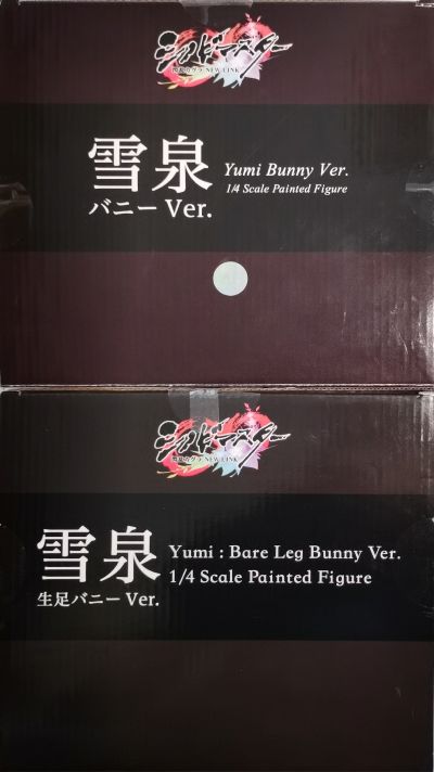 B-style 忍者大师 闪乱神乐: New Link 雪泉 裸腿兔女郎
