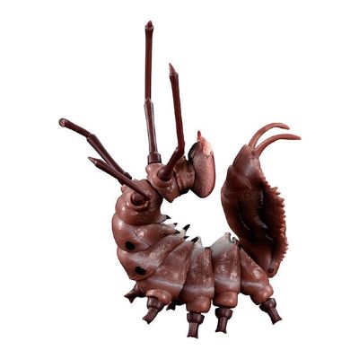 生物大图鉴 毛虫 2