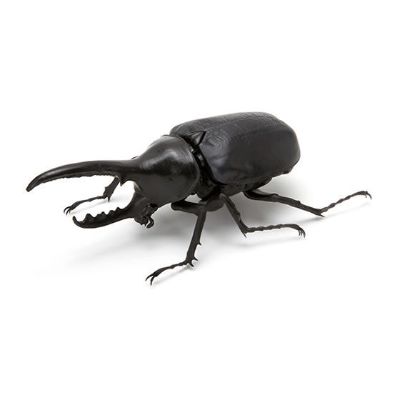 生物大图鉴 甲虫