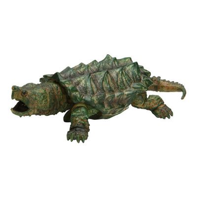 生物大图鉴 陆龟 4