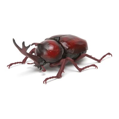生物大图鉴 甲虫 2