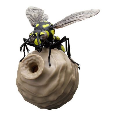 生物大图鉴 胡蜂