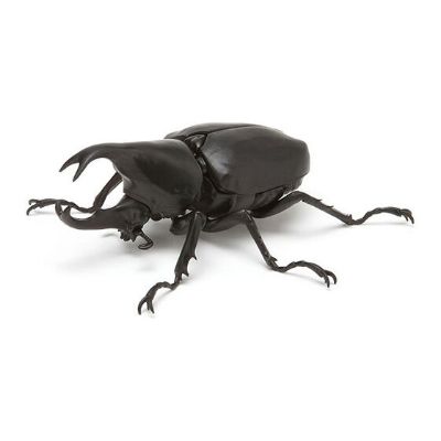 生物大图鉴 甲虫 3
