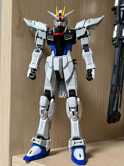 RG 1/144 高达基地专属商品   自由高达 GCP版