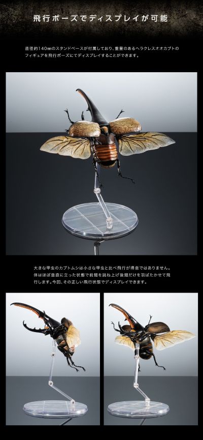 高级生物大图鉴 长戟大兜虫