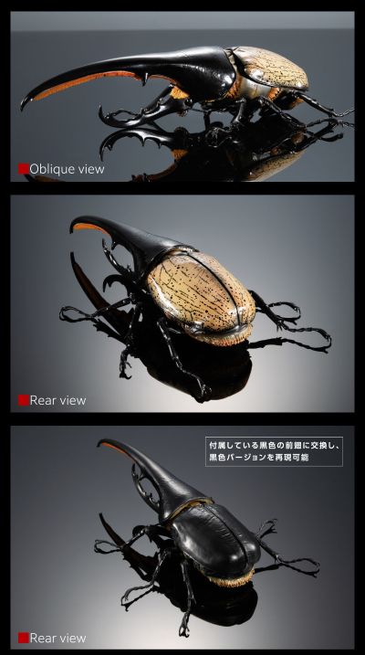高级生物大图鉴 长戟大兜虫