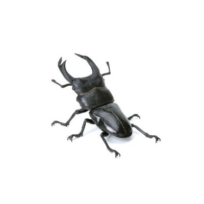 生物大图鉴 迷你系列 昆虫03