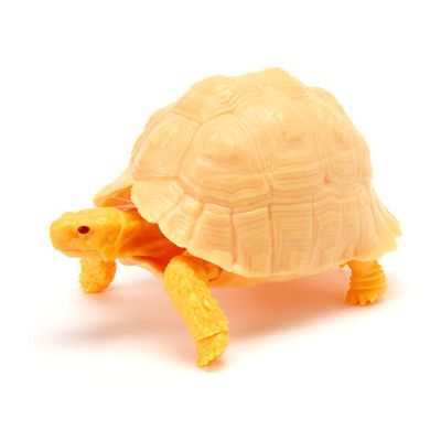 生物大图鉴 陆龟 6