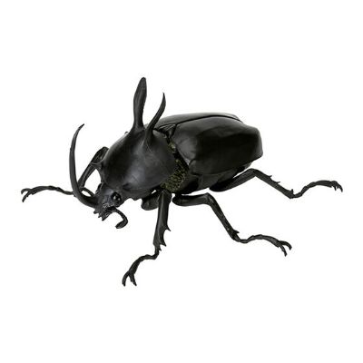 生物大图鉴 甲虫 5