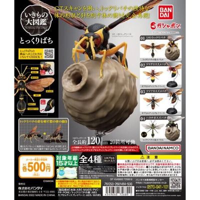 生物大图鉴 胡蜂