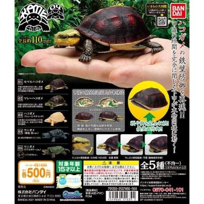 生物大图鉴 陆龟 4