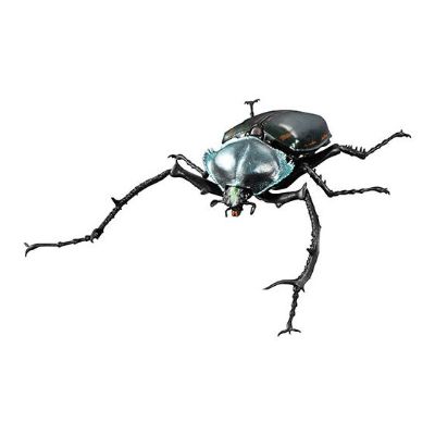 生物大图鉴 甲虫 4