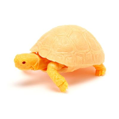 生物大图鉴 陆龟 6