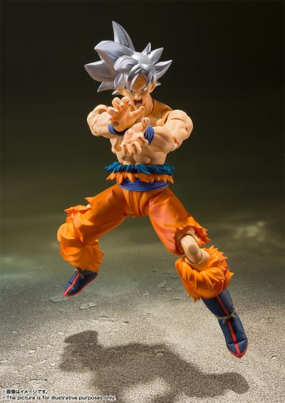 S.H.Figuarts 孙悟空 自在极意功