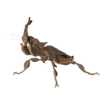 生物大图鉴 迷你系列 昆虫02