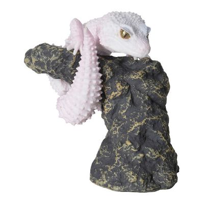 生物大图鉴 卷手指系列 豹纹壁虎 与 睫角壁虎02