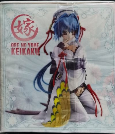 我的新娘计划 恋姫无双 赵云子龙 通常版 