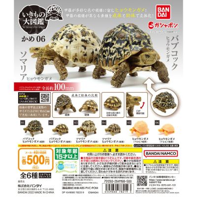 生物大图鉴 陆龟 6