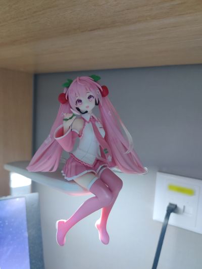 初音未来 压泡面人偶-樱花未来2024-