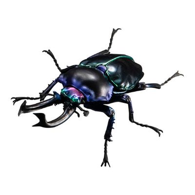 进化生物大图鉴 彩虹锹甲