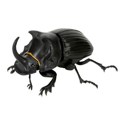 生物大图鉴 甲虫 5