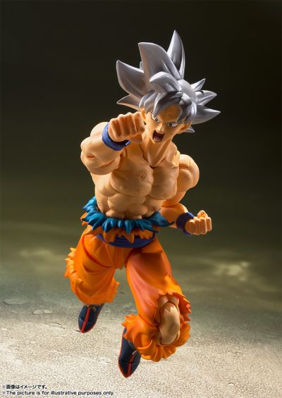 S.H.Figuarts 孙悟空 自在极意功