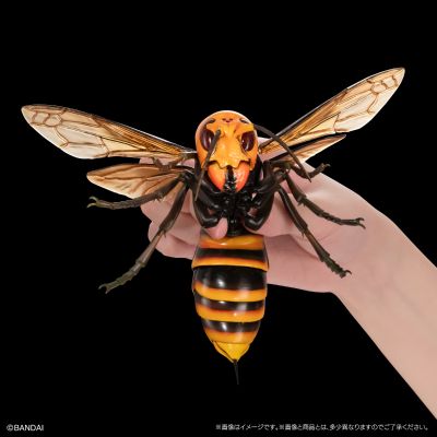 进化生物大图鉴 胡蜂 2 加鲁达巨唇泥蜂 + 展示架套装
