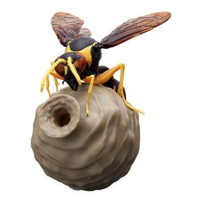 生物大图鉴 胡蜂