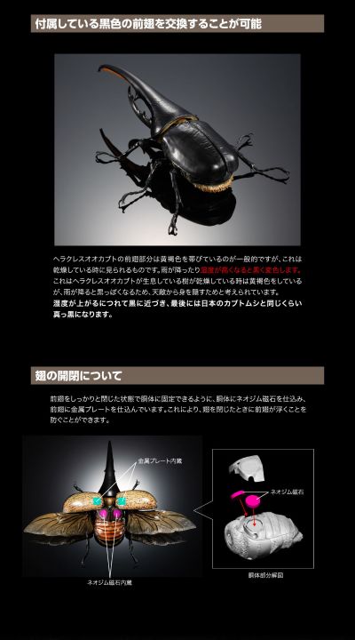 高级生物大图鉴 长戟大兜虫