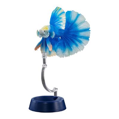 进化生物大图鉴 斗鱼