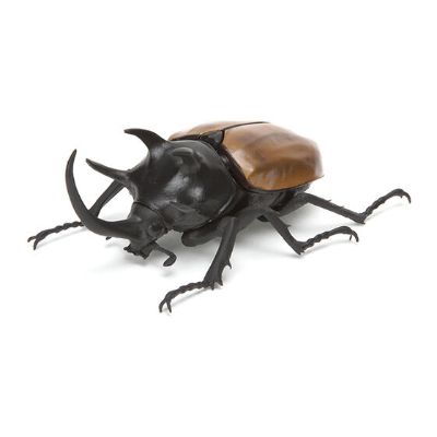 生物大图鉴 甲虫 2