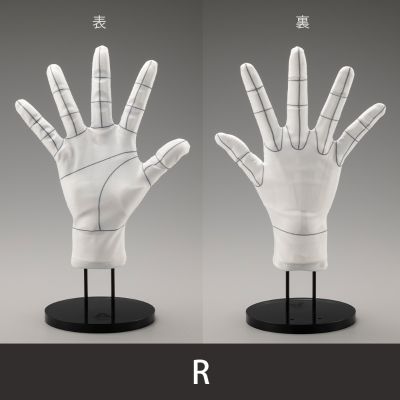 艺术参考工具 手部模型专用手套/右手 -网格线-、左手 -网格线-