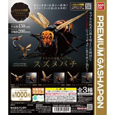 进化生物大图鉴 胡蜂亚种