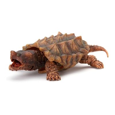 生物大图鉴 陆龟 5