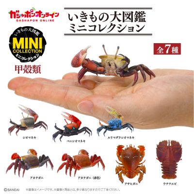 生物大图鉴 迷你系列 甲壳类