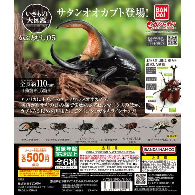生物大图鉴 甲虫 5