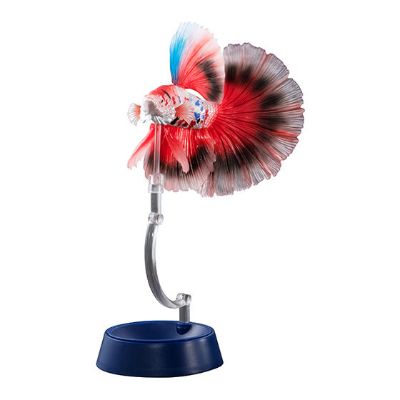 进化生物大图鉴 斗鱼