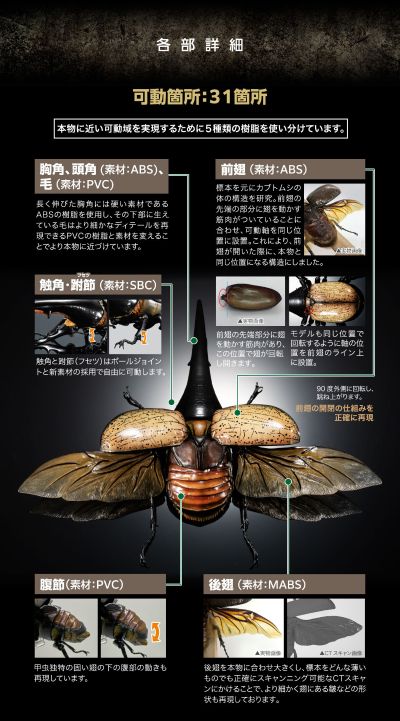 高级生物大图鉴 长戟大兜虫
