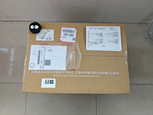 爆弹女孩 蕾文西亚・阿葵亚布尔 吸血鬼内衣