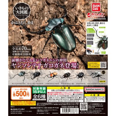 生物大图鉴 甲虫 4