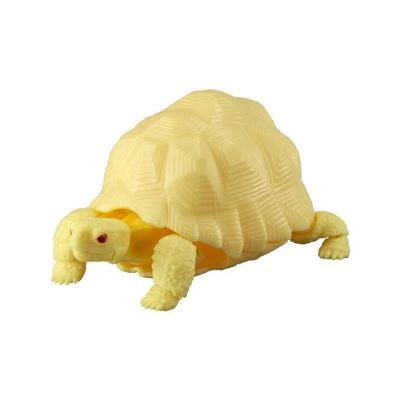 生物大图鉴 陆龟 2