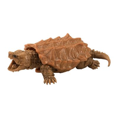 生物大图鉴 陆龟 3