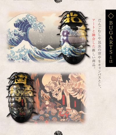 生物大图鉴 鼠妇 BUGARTS 浮世绘