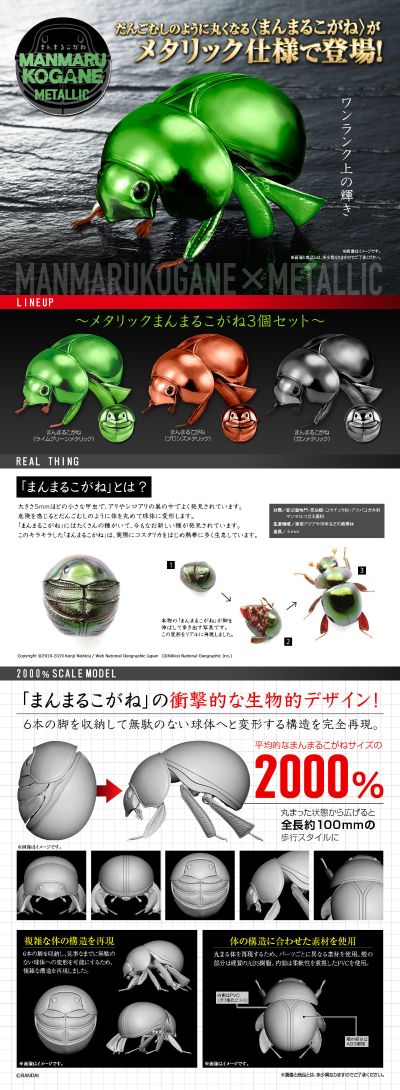 生物大图鉴 金属暗球驼金龟甲 套装