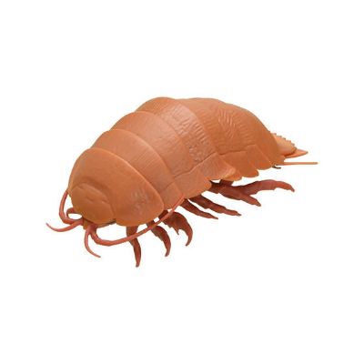 生物大图鉴 鼠妇 球形挂件 大王具足虫